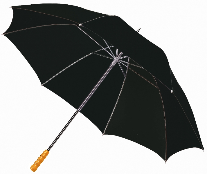 nivo slider image